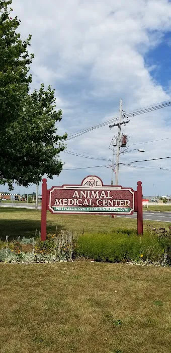 Animal Medical Center 6