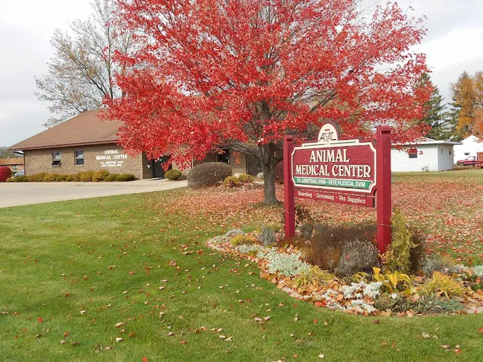 Animal Medical Center 10