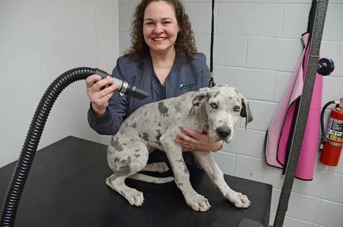 Galesburg Animal Hospital PC 3