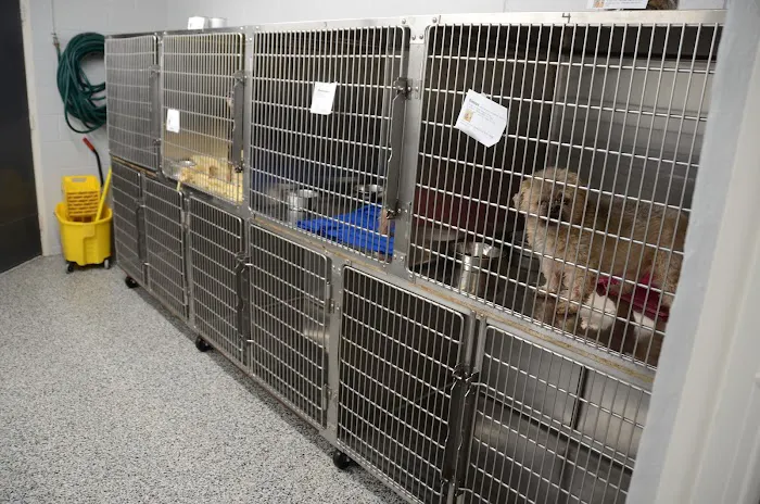 Galesburg Animal Hospital PC 6