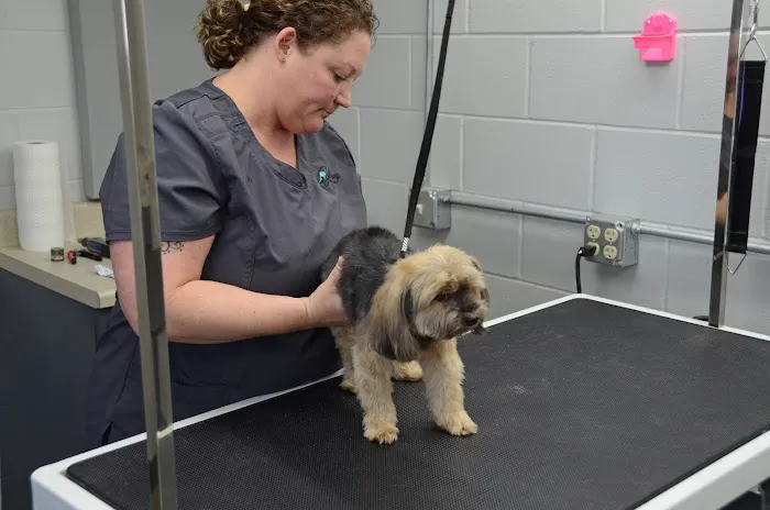 Galesburg Animal Hospital PC 1