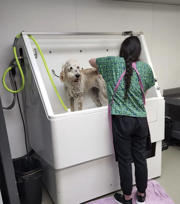 Galesburg Animal Hospital PC 5