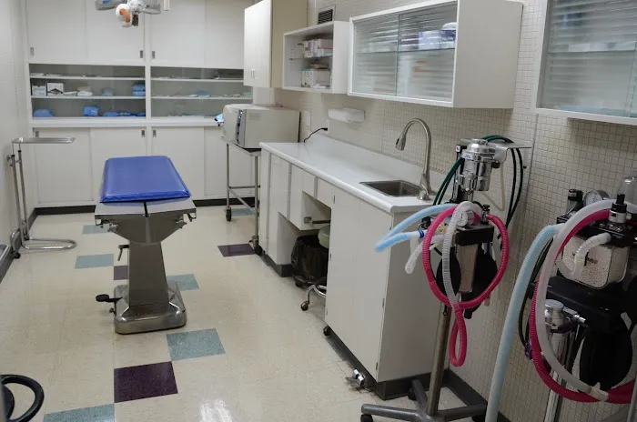 Galesburg Animal Hospital PC 7