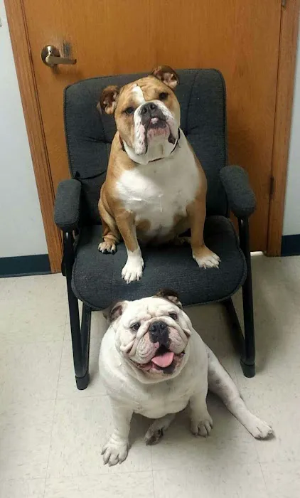 Aledo Veterinary Clinic 1