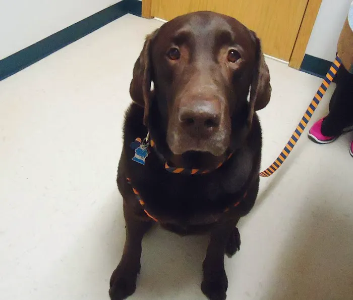 Aledo Veterinary Clinic 9