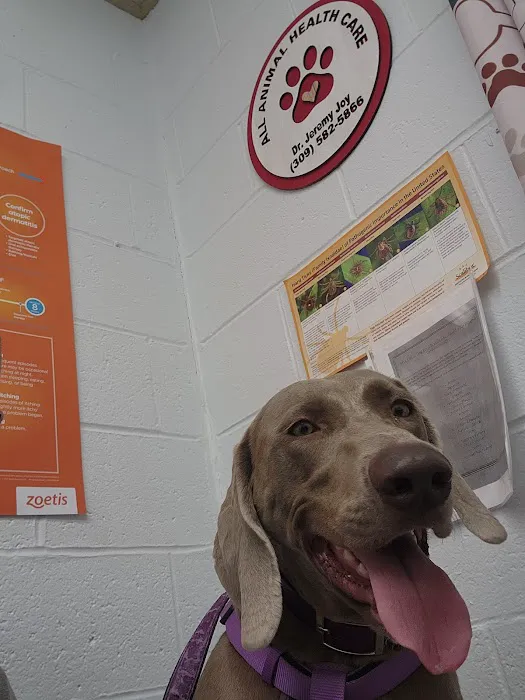 All Animal Health Care 1