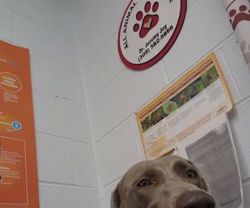 All Animal Health Care