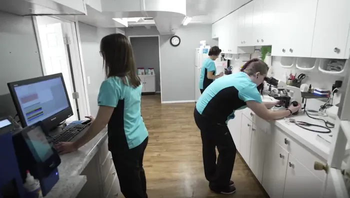 Wags and Whiskers Veterinary Service 9