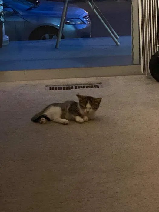 Peoria Area Veterinary Group of Chillicothe 10