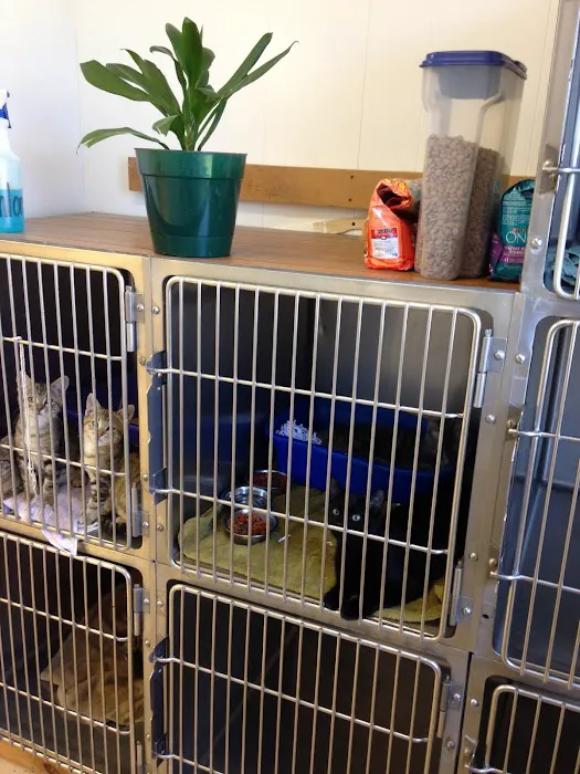 Knoxville Veterinary Service 6