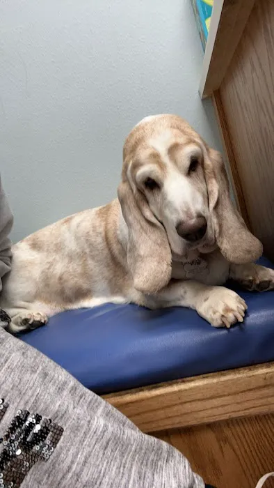 Anamosa Veterinary Clinic 5