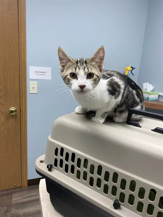 Anamosa Veterinary Clinic 2