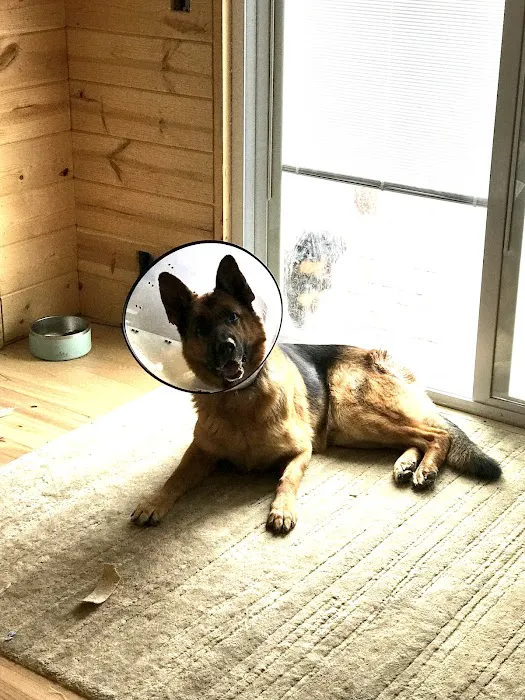 Anamosa Veterinary Clinic 7