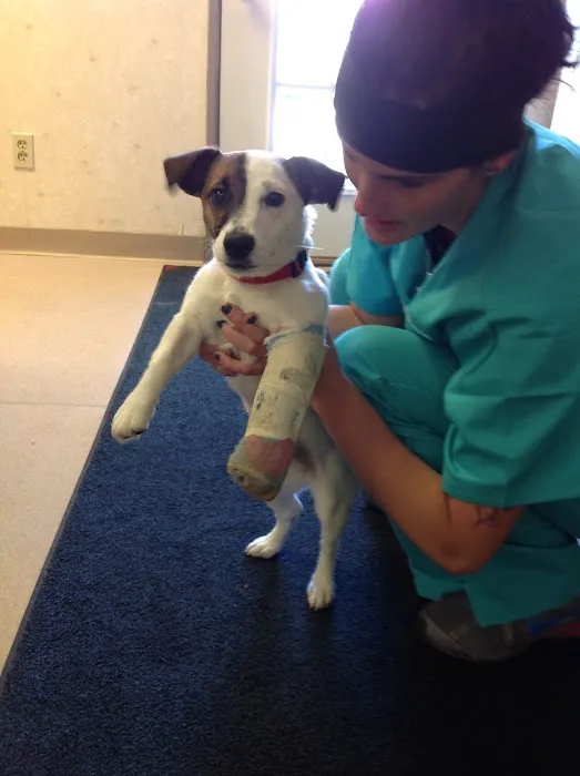 Riverside Animal Hospital 2
