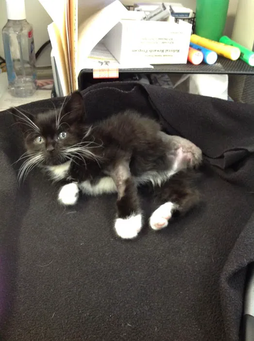 Riverside Animal Hospital 1