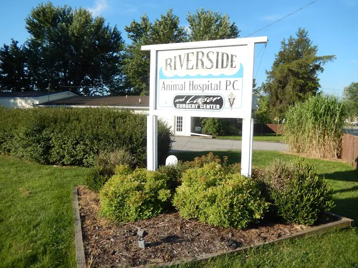 Riverside Animal Hospital 9