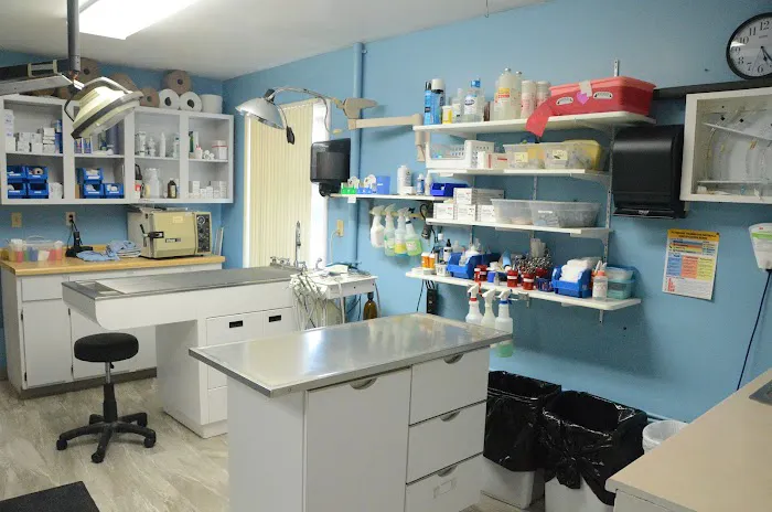 Riverside Animal Hospital 7