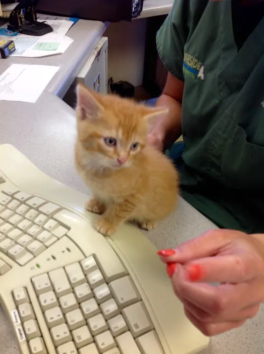 Riverside Animal Hospital 4