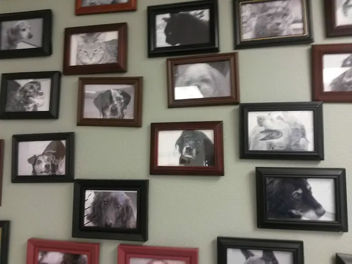 Family Pet Veterinary 6