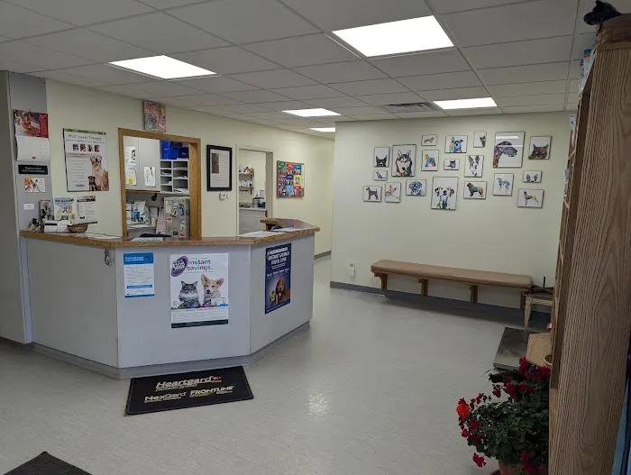 Family Pet Veterinary 3