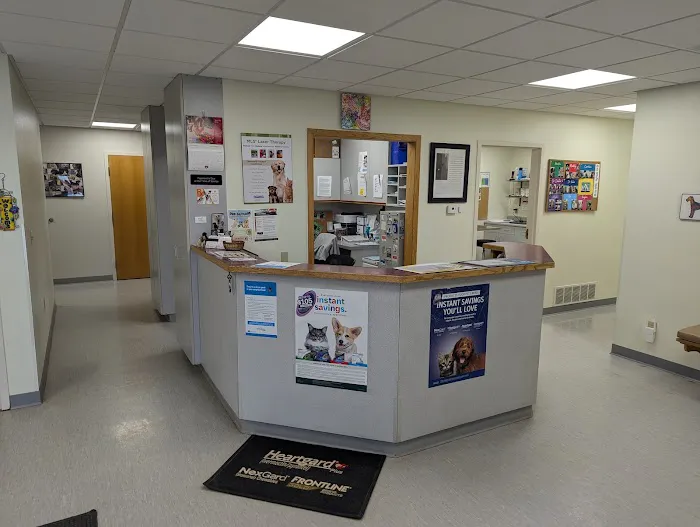 Family Pet Veterinary 2