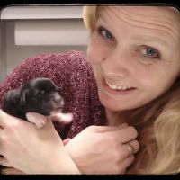 Family Pet Veterinary ico