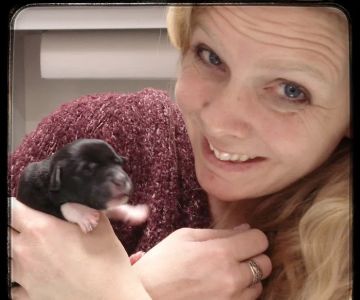 Family Pet Veterinary