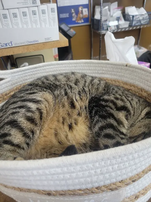 West Branch Animal Clinic 4
