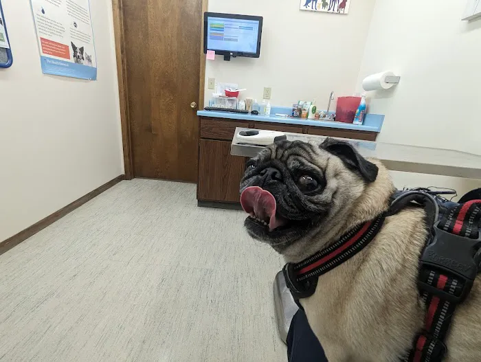 Pet Health Center of Mount Vernon 9