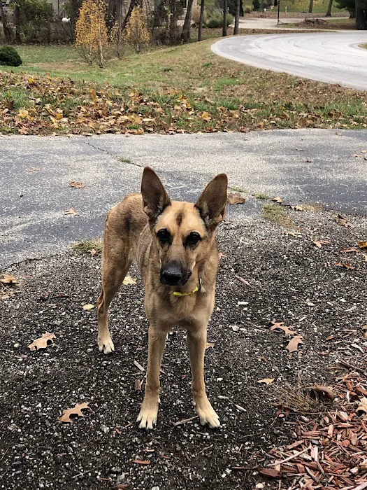 Mount Vernon Veterinary Clinic 3