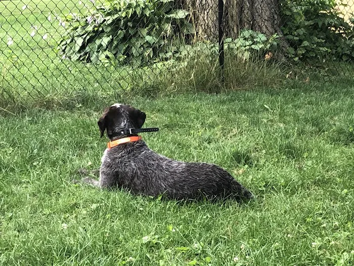 Bright Eyes & Bushy Tails Veterinary Hospital 12
