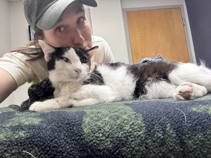 Bright Eyes & Bushy Tails Veterinary Hospital 12