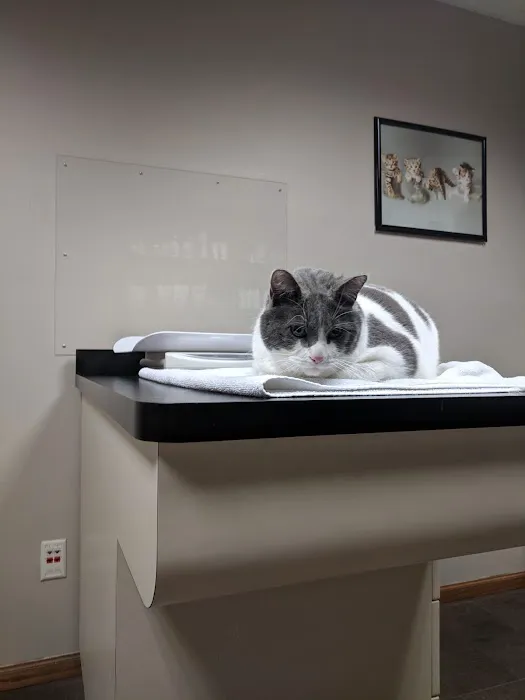Best Friends Veterinary Care 12