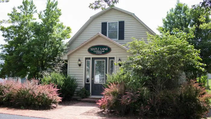 Maple Lane Veterinary Clinic 12