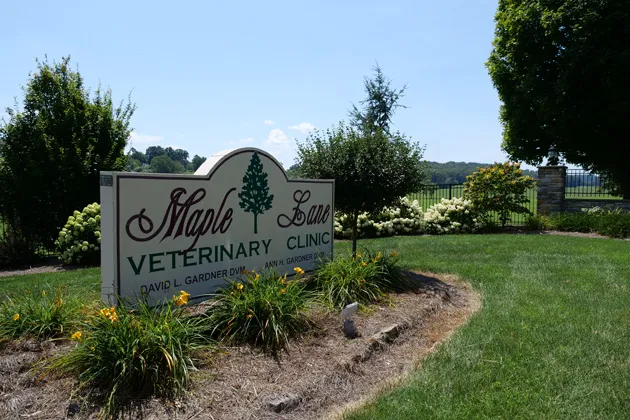 Maple Lane Veterinary Clinic 12