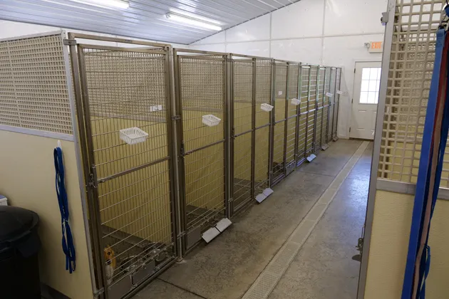 Maple Lane Veterinary Clinic 12