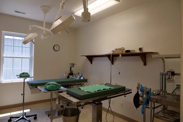 Maple Lane Veterinary Clinic 12
