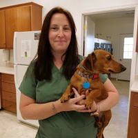 Maple Lane Veterinary Clinic ico