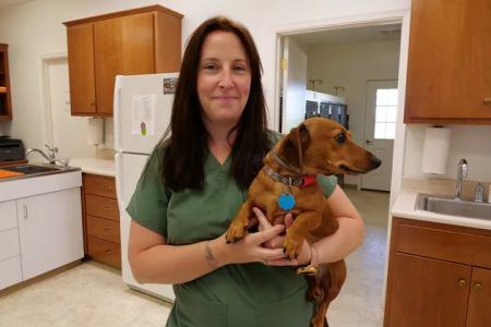 Maple Lane Veterinary Clinic