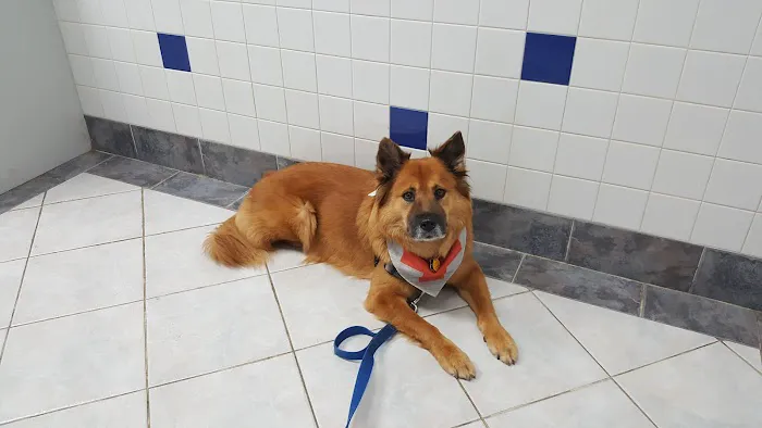 Woodworth Animal Hospital 12