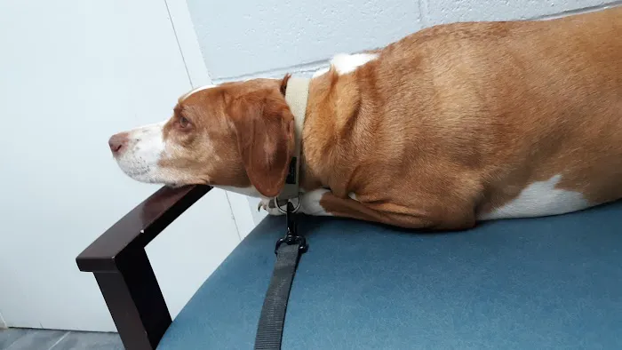 Woodworth Animal Hospital 12