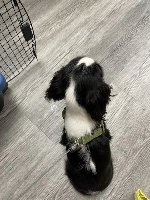 Otterdale Pet Wellness Center 12