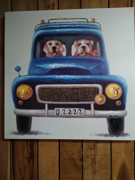 JB Harris DVM Mobile Veterinary Services 10