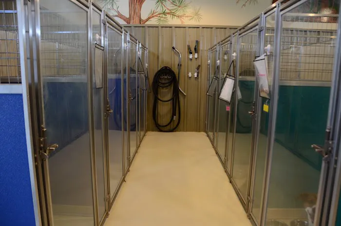 Tennessee Valley Animal Clinic 12
