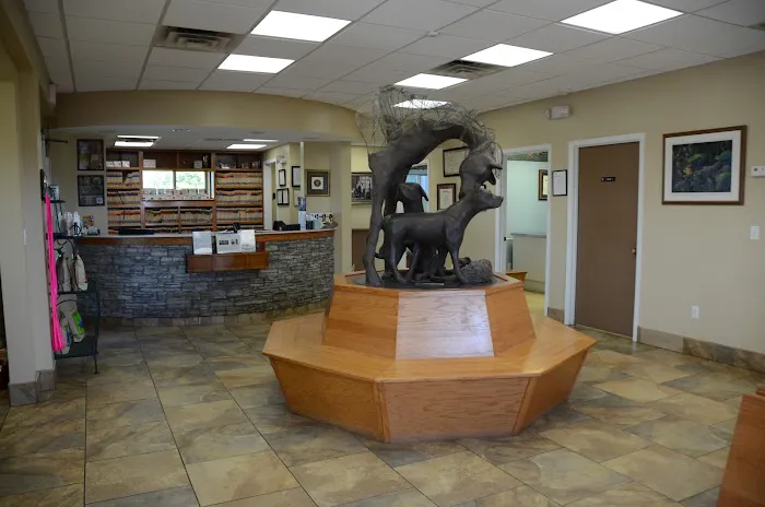Tennessee Valley Animal Clinic 12