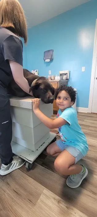 Quad-Cities Animal Hospital 12