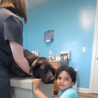 Quad-Cities Animal Hospital ico