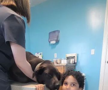 Quad-Cities Animal Hospital