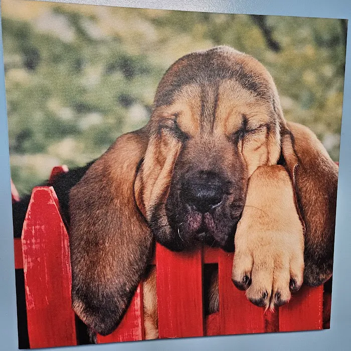 Quad-Cities Animal Hospital 12