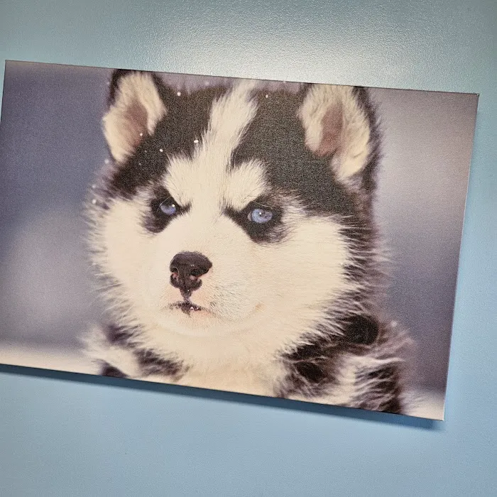 Quad-Cities Animal Hospital 12